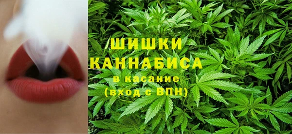 амф Мегион