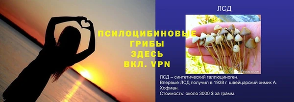 гидра Медногорск