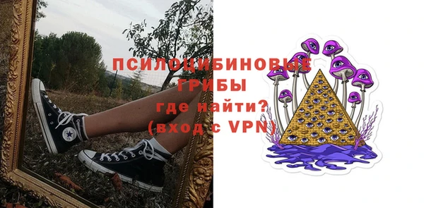 гидра Медногорск