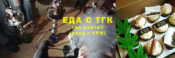 гидра Медногорск