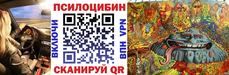 Псилоцибиновые грибы Psilocybine cubensis  где найти наркотики  Королёв 